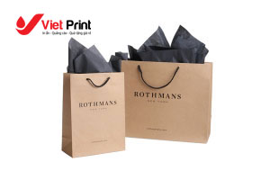 Túi Giấy: Quảng Cáo Thân Thiện và Hiệu Quả