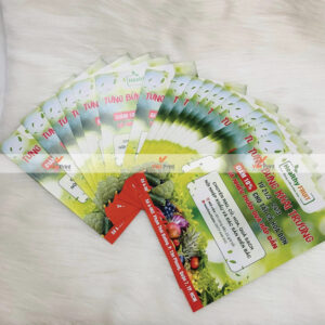 In Tờ Rơi Tại Lạng Sơn – Thiết Kế Ấn Tượng, In Sắc Nét