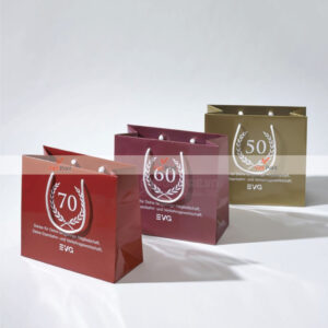 In Túi Giấy Tại Lạng Sơn – Giải Pháp Bao Bì Thân Thiện & Chuyên Nghiệp